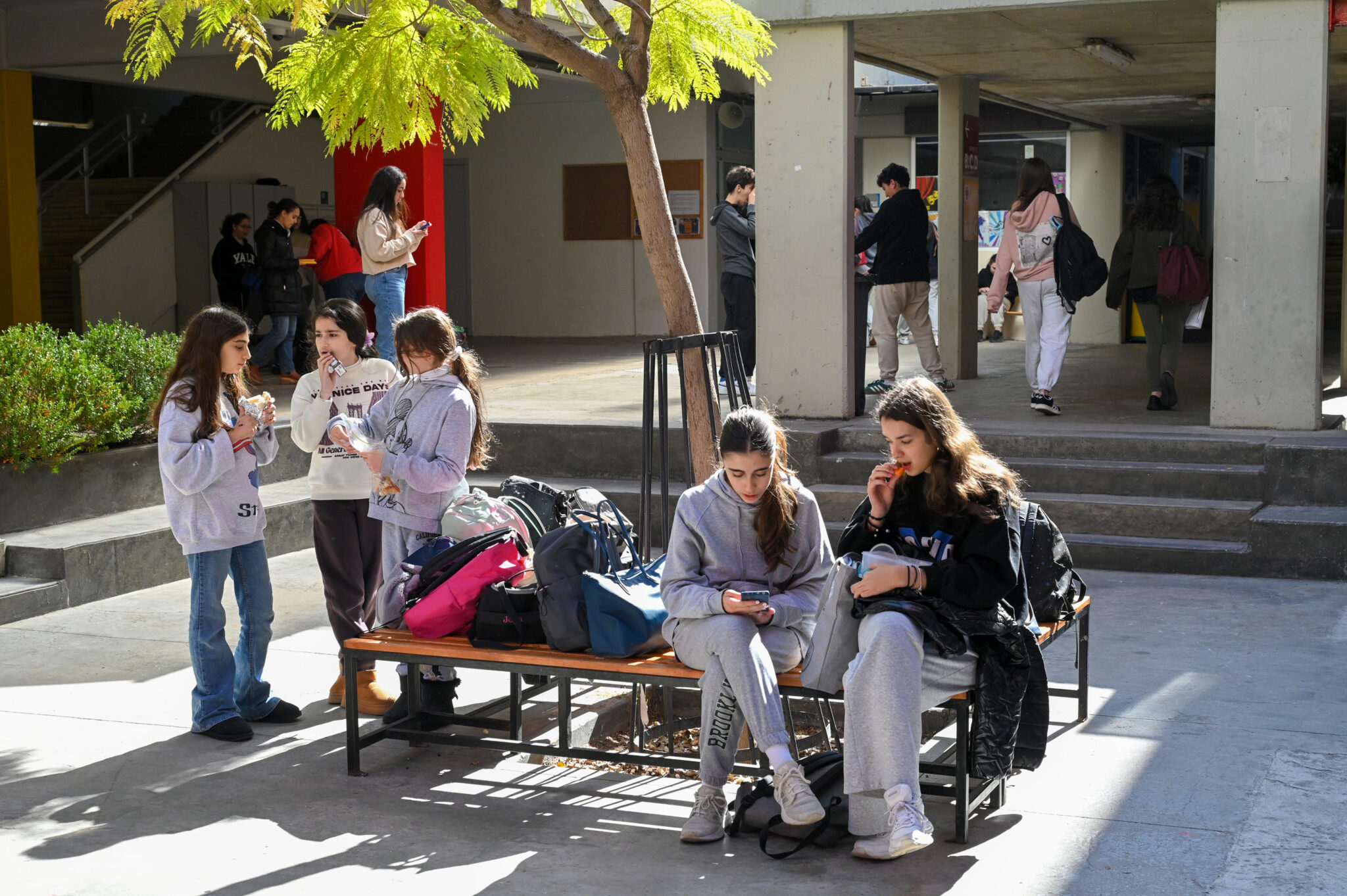 Nahr Ibrahim Fleurs Rouges Lycée | Lycée franco-libanais Nahr Ibrahim Al Maayssra (LFLNI)